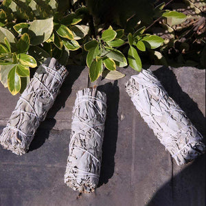 Discover White Sage Smudges Stick Botana RX . Shop Perfumarie